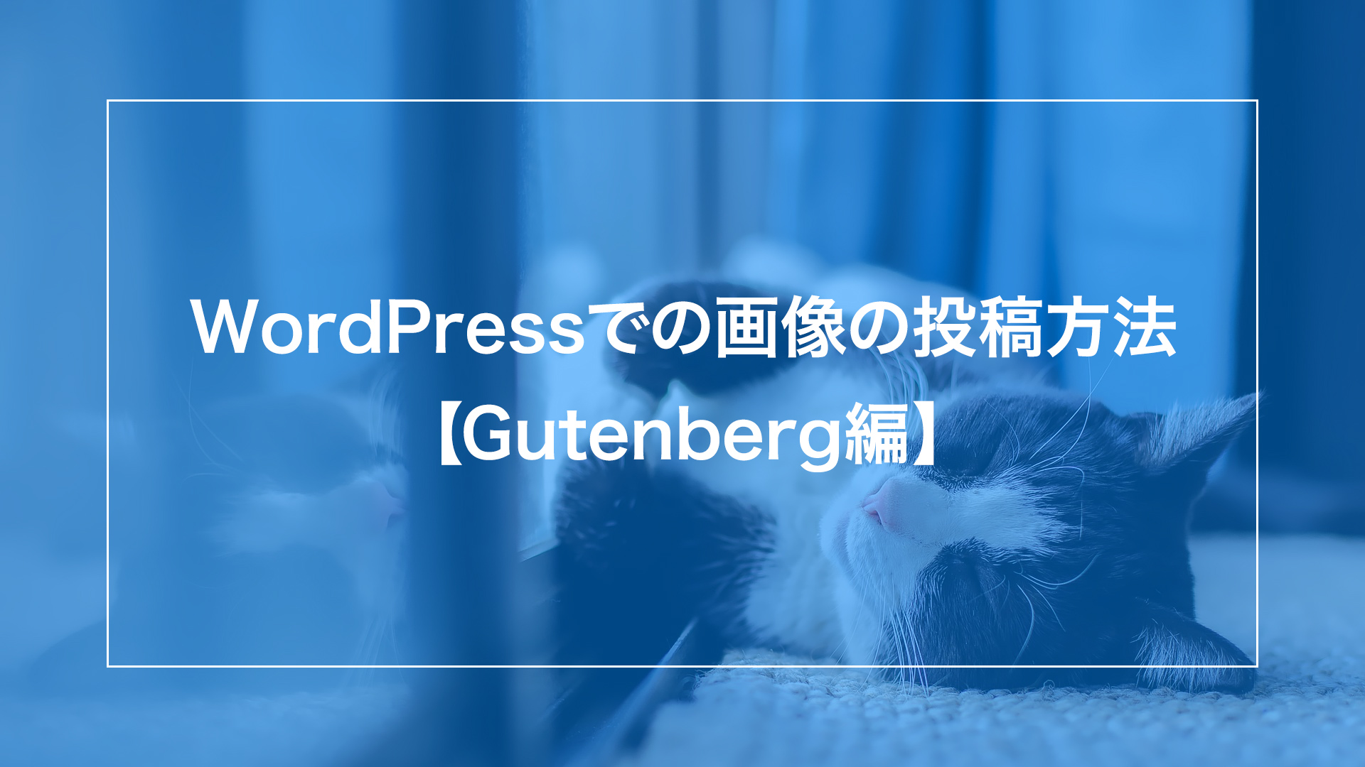 Wordpressの投稿で 画像 に関するブロックの使い方 Gutenberg編 More Web